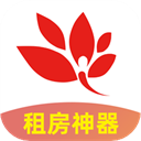 影猫